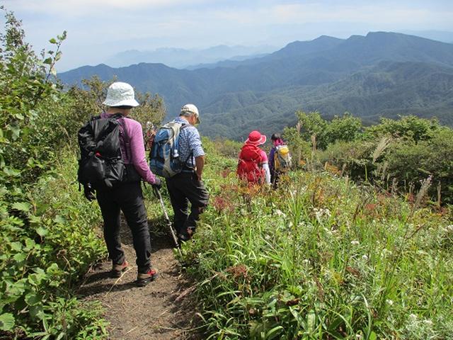 画像10: 【山旅会・登山ガイドこだわりツアー】岡田ガイドからの便り・浅間隠山ツアーにいってまいりました!