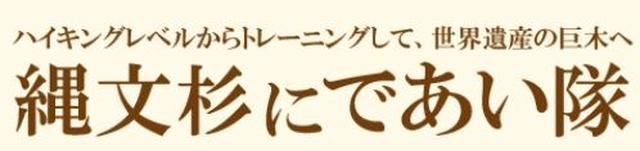 画像: ■縄文杉にであい隊■ 月に1回のトレーニングを重ね、無理なく体力や登山知識を身に付けて世界遺産の縄文杉を目指します。 www.club-t.com