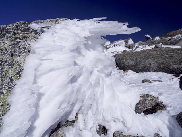 画像: ■海老のしっぽ 岩肌や、時には山頂の祠の屋根などに付着した氷雪が創り出す造形美。 見た目とは裏腹に、風上に向かって成長します。