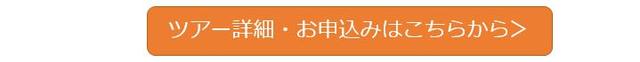 画像6: tour.club-t.com