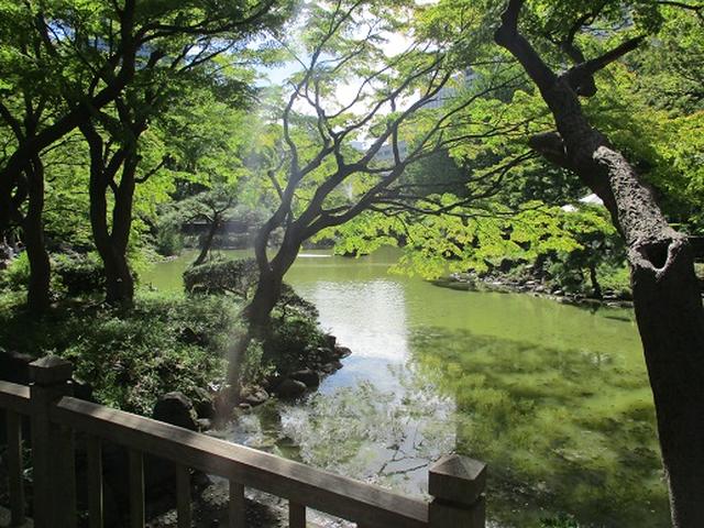 画像3: 【山旅会・登山ガイドこだわりツアー】岡田ガイドからの便り・都内の山を下見してまいりました!