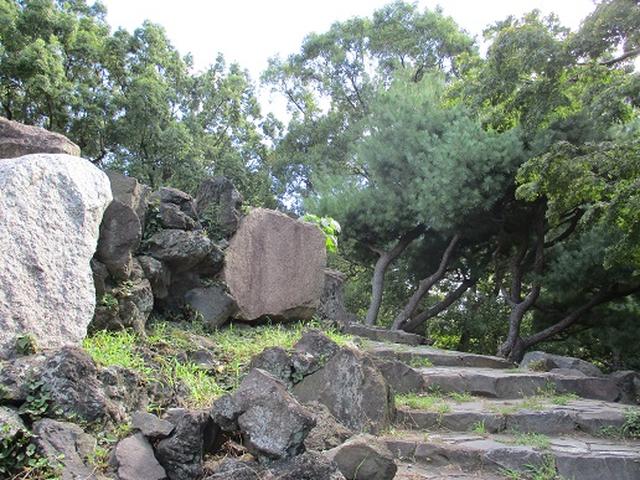 画像2: 【山旅会・登山ガイドこだわりツアー】岡田ガイドからの便り・都内の山を下見してまいりました!