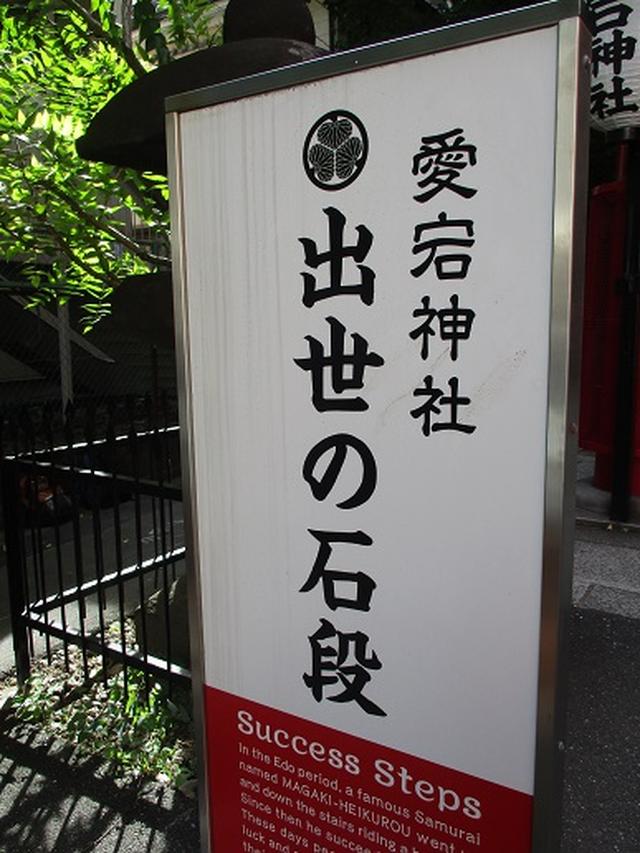 画像5: 【山旅会・登山ガイドこだわりツアー】岡田ガイドからの便り・都内の山を下見してまいりました!