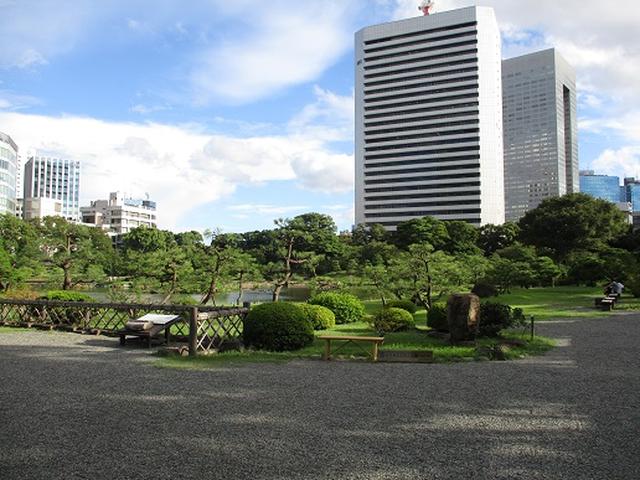 画像12: 【山旅会・登山ガイドこだわりツアー】岡田ガイドからの便り・都内の山を下見してまいりました!