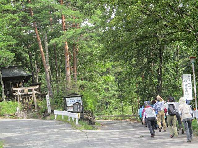 画像5: 【山旅会・登山ガイドこだわりツアー】岡田ガイドからの便り・双子池から亀甲池ツアーにいってまいりました!