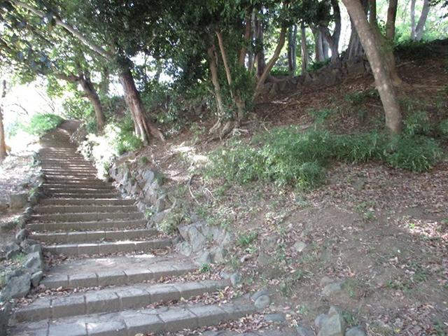 画像10: 【山旅会・登山ガイドこだわりツアー】岡田ガイドからの便り・都内の山を下見してまいりました!