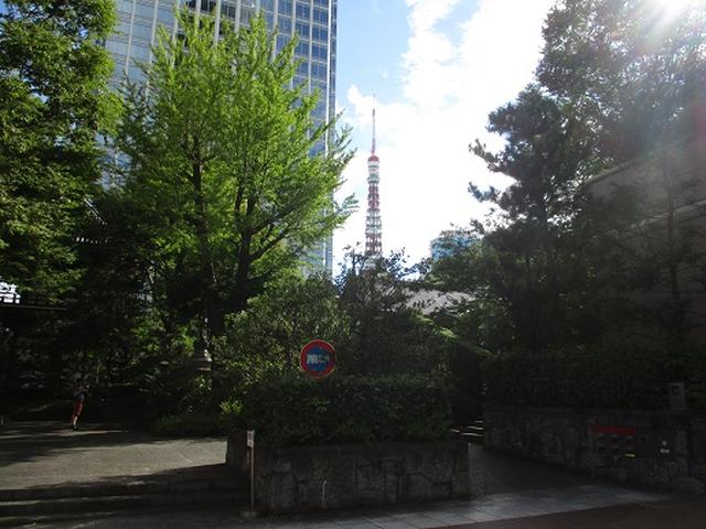画像7: 【山旅会・登山ガイドこだわりツアー】岡田ガイドからの便り・都内の山を下見してまいりました!