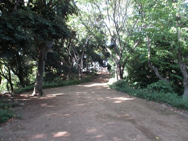 画像11: 【山旅会・登山ガイドこだわりツアー】岡田ガイドからの便り・都内の山を下見してまいりました!