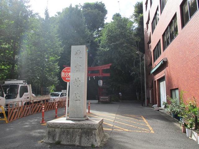 画像4: 【山旅会・登山ガイドこだわりツアー】岡田ガイドからの便り・都内の山を下見してまいりました!