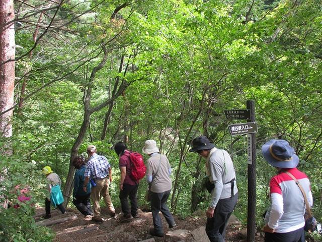 画像7: 【山旅会・登山ガイドこだわりツアー】岡田ガイドからの便り・双子池から亀甲池ツアーにいってまいりました!