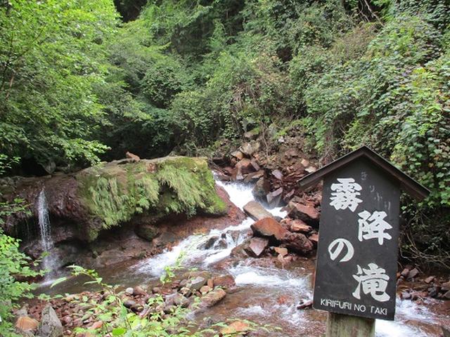 画像9: 【山旅会・登山ガイドこだわりツアー】岡田ガイドからの便り・双子池から亀甲池ツアーにいってまいりました!