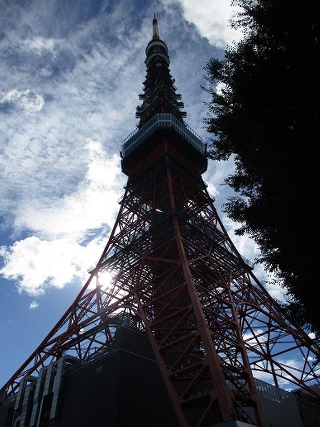 画像8: 【山旅会・登山ガイドこだわりツアー】岡田ガイドからの便り・都内の山を下見してまいりました!