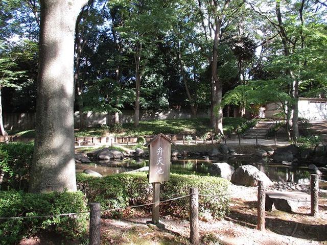画像9: 【山旅会・登山ガイドこだわりツアー】岡田ガイドからの便り・都内の山を下見してまいりました!