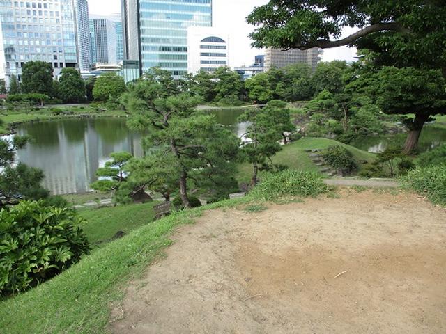 画像14: 【山旅会・登山ガイドこだわりツアー】岡田ガイドからの便り・都内の山を下見してまいりました!