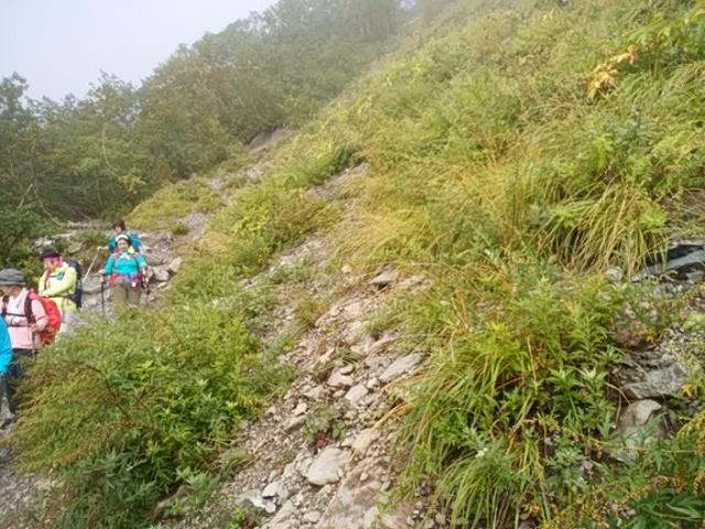 画像10: 【山旅会・登山ガイドこだわりツアー】岡田ガイドからの便り・唐松岳ツアーの2回目にいってまいりました!(その2)
