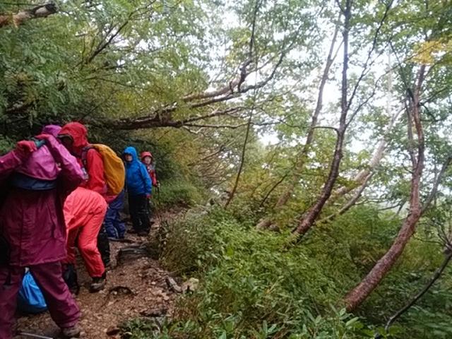 画像7: 【山旅会・登山ガイドこだわりツアー】岡田ガイドからの便り・唐松岳ツアーの2回目にいってまいりました!(その1)