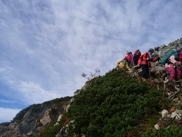 画像6: 【山旅会・登山ガイドこだわりツアー】岡田ガイドからの便り・唐松岳ツアーの2回目にいってまいりました!(その2)