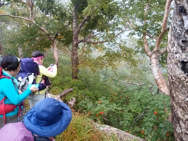 画像12: 【山旅会・登山ガイドこだわりツアー】岡田ガイドからの便り・唐松岳ツアーの2回目にいってまいりました!(その2)
