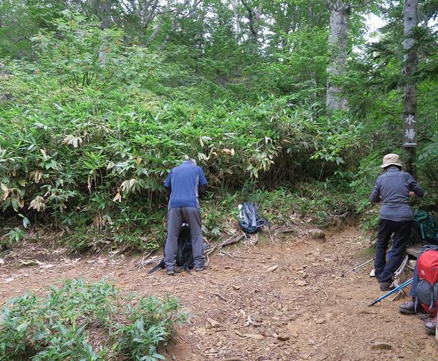 画像2: 【山旅会・登山ガイドこだわりツアー】岡田ガイドからの便り・会津駒ヶ岳にいってまいりました!(その1)