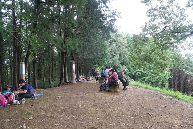 画像9: 【山旅会・登山ガイドこだわりツアー】岡田ガイドからの便り・巾着田から日和田山に下見にいってまいりました!