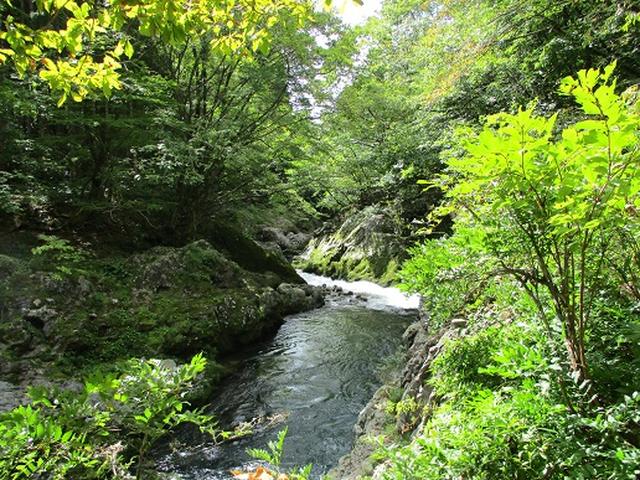 画像9: 【山旅会・登山ガイドこだわりツアー】岡田ガイドからの便り・白神山地・二ツ森に下見にいってまいりました!