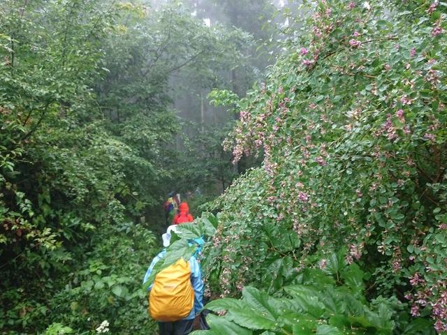 画像5: 【山旅会・登山ガイドこだわりツアー】添乗員からの便り・城山から景信山ツアーにいってまいりました!