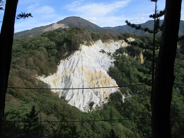 画像9: 【山旅会・登山ガイドこだわりツアー】岡田ガイドからの便り・白神山地 十二湖に下見にいってまいりました!