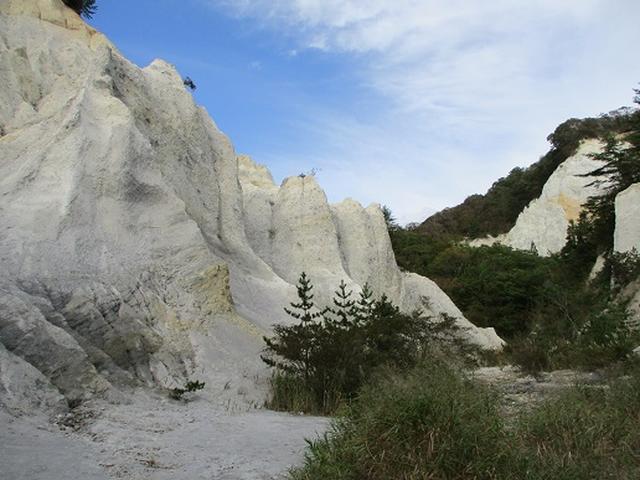画像10: 【山旅会・登山ガイドこだわりツアー】岡田ガイドからの便り・白神山地 十二湖に下見にいってまいりました!