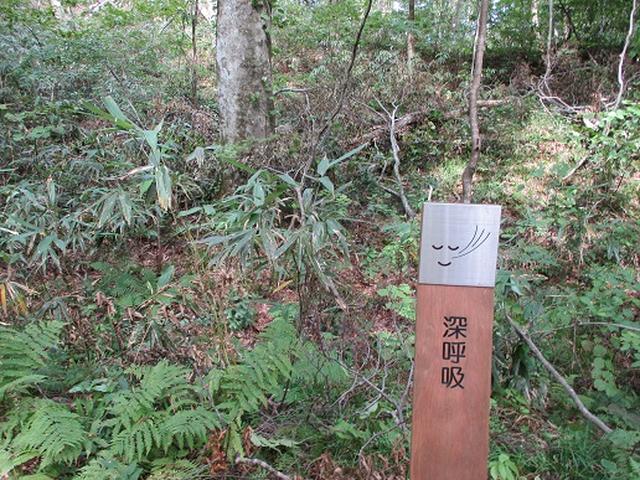 画像4: 【山旅会・登山ガイドこだわりツアー】岡田ガイドからの便り・白神山地 十二湖に下見にいってまいりました!