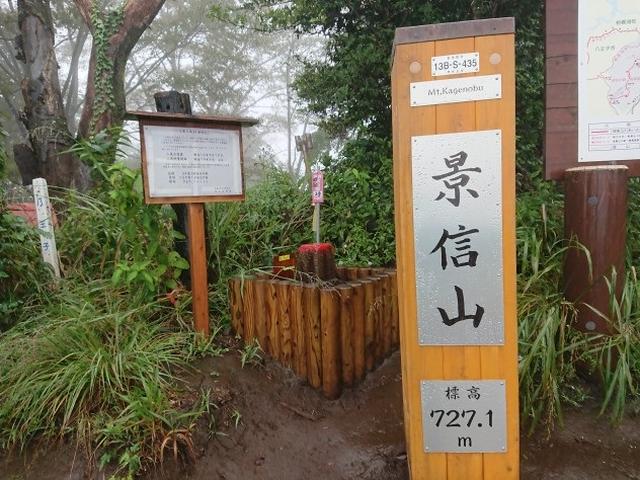 画像10: 【山旅会・登山ガイドこだわりツアー】添乗員からの便り・城山から景信山ツアーにいってまいりました!