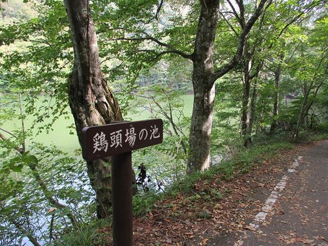画像2: 【山旅会・登山ガイドこだわりツアー】岡田ガイドからの便り・白神山地 十二湖に下見にいってまいりました!