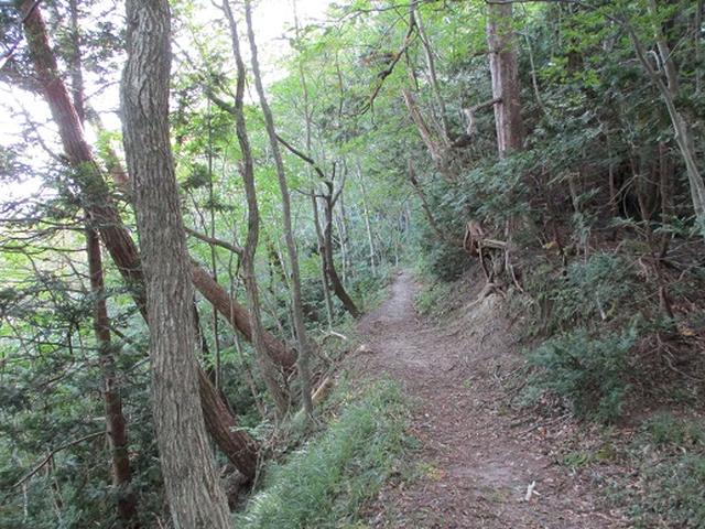 画像8: 【山旅会・登山ガイドこだわりツアー】岡田ガイドからの便り・白神山地 十二湖に下見にいってまいりました!