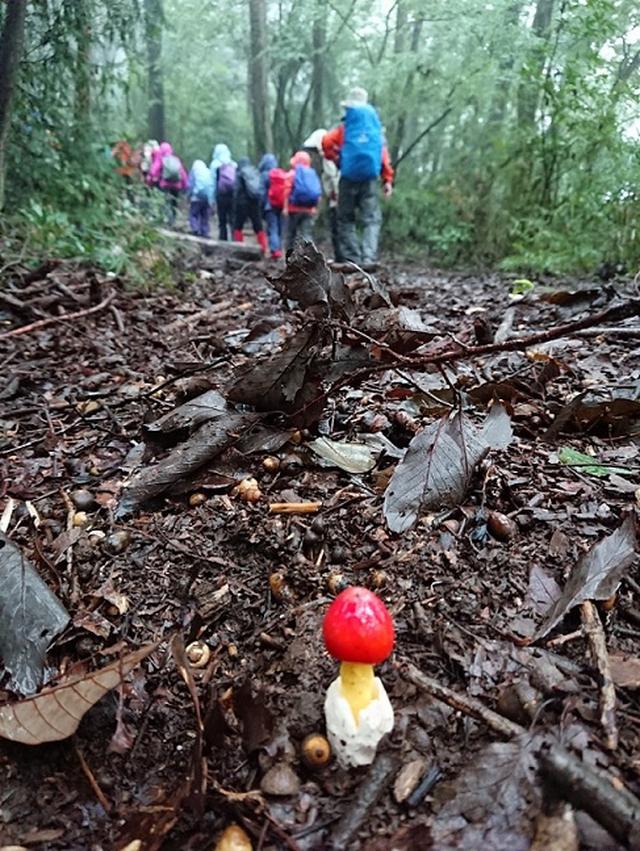 画像2: 【山旅会・登山ガイドこだわりツアー】添乗員からの便り・城山から景信山ツアーにいってまいりました!