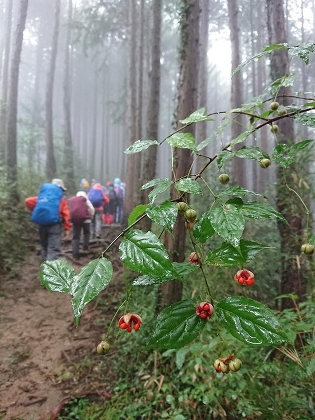 画像3: 【山旅会・登山ガイドこだわりツアー】添乗員からの便り・城山から景信山ツアーにいってまいりました!