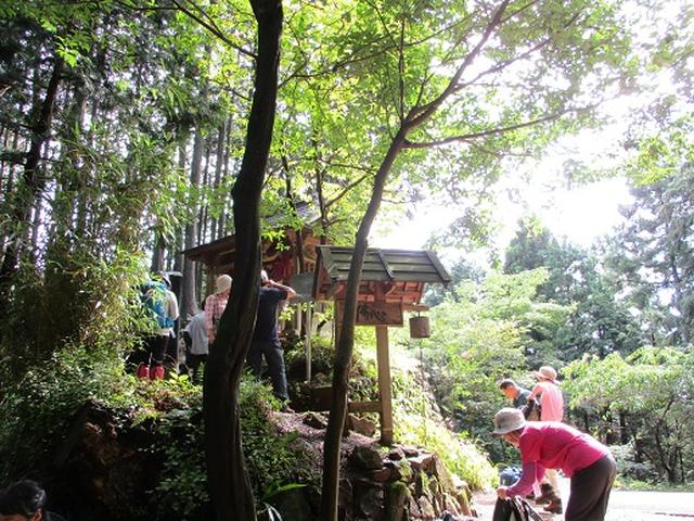 画像9: 【山旅会・登山ガイドこだわりツアー】岡田ガイドからの便り・巾着田から日和田山ツアーにいってまいりました!