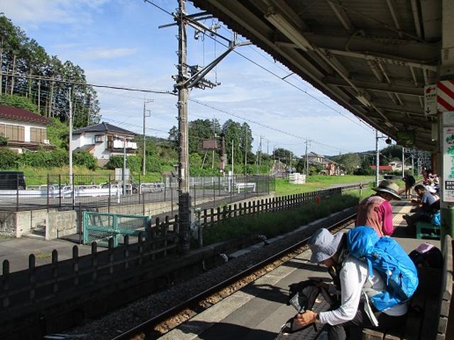 画像10: 【山旅会・登山ガイドこだわりツアー】岡田ガイドからの便り・巾着田から日和田山ツアーにいってまいりました!