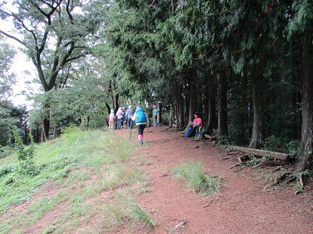 画像7: 【山旅会・登山ガイドこだわりツアー】岡田ガイドからの便り・巾着田から日和田山ツアーにいってまいりました!
