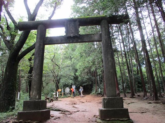 画像3: 【山旅会・登山ガイドこだわりツアー】岡田ガイドからの便り・巾着田から日和田山ツアーにいってまいりました!