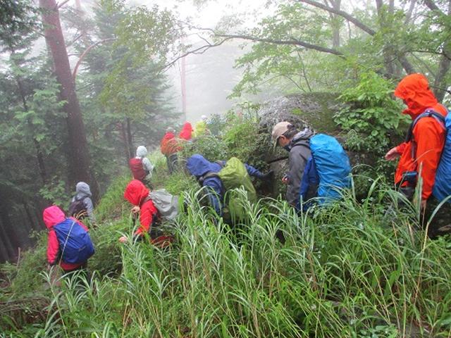 画像8: 【山旅会・登山ガイドこだわりツアー】岡田ガイドからの便り・茅ヶ岳ツアーにいってまいりました!