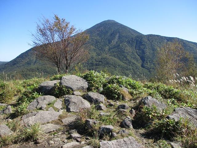 画像7: 【山旅会・登山ガイドこだわりツアー】岡田ガイドからの便り・八子ヶ峰ツアーの下見にいってまいりました!