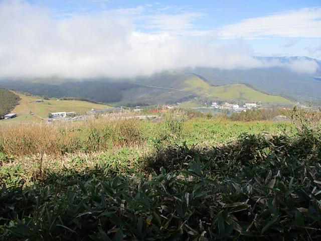 画像9: 【山旅会・登山ガイドこだわりツアー】岡田ガイドからの便り・八子ヶ峰ツアーの下見にいってまいりました!