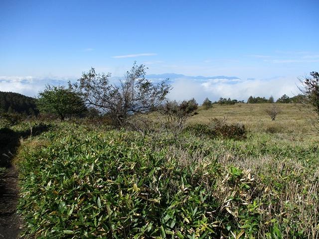 画像3: 【山旅会・登山ガイドこだわりツアー】岡田ガイドからの便り・八子ヶ峰ツアーの下見にいってまいりました!