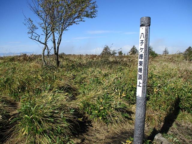 画像5: 【山旅会・登山ガイドこだわりツアー】岡田ガイドからの便り・八子ヶ峰ツアーの下見にいってまいりました!