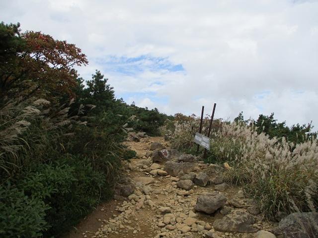 画像5: 【山旅会・登山ガイドこだわりツアー】岡田ガイドからの便り・安達太良山・栗駒山ツアーにいってまいりました!(その1)
