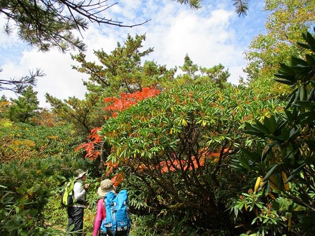 画像2: 【山旅会・登山ガイドこだわりツアー】岡田ガイドからの便り・安達太良山・栗駒山ツアーにいってまいりました!(その1)