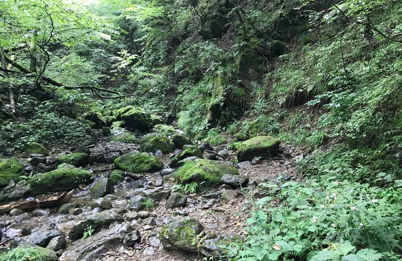 画像: 御岳山・ロックガーデン。苔と緑が生い茂って、水のせせらぎが心地良かったです。