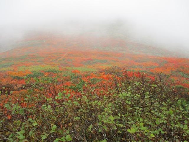 画像3: 【山旅会・登山ガイドこだわりツアー】岡田ガイドからの便り・安達太良山・栗駒山ツアーにいってまいりました!(その3)
