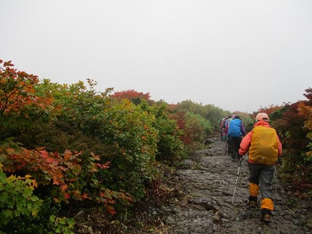 画像6: 【山旅会・登山ガイドこだわりツアー】岡田ガイドからの便り・安達太良山・栗駒山ツアーにいってまいりました!(その2)