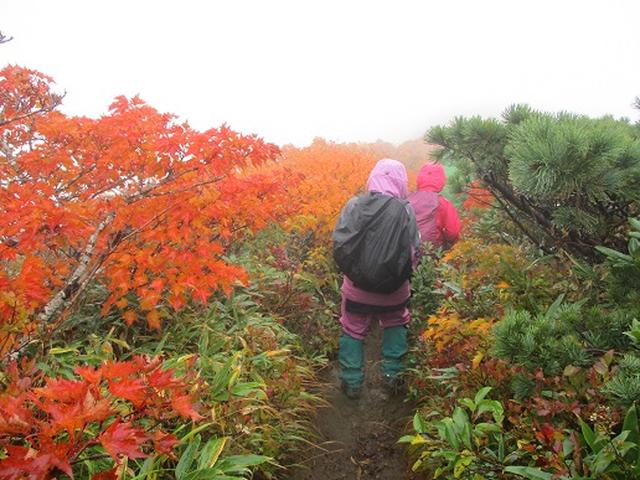画像2: 【山旅会・登山ガイドこだわりツアー】岡田ガイドからの便り・安達太良山・栗駒山ツアーにいってまいりました!(その3)