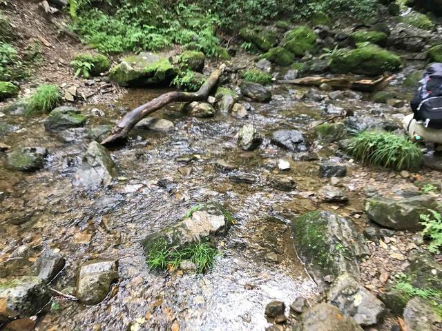 画像: 水の透明度が高い!